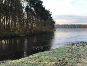 Ottermeer gefrorener See in Wiesmoor mit Bäumen im Hintergrund
