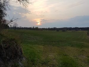 Weiter Blick über grüne Wiese auf Sonnenuntergang in Ostfriesland
