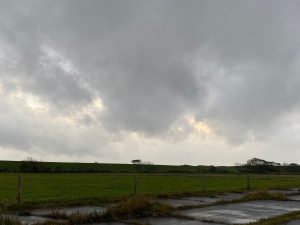 Blick auf den Deich und Wiesen in Ostfriesland