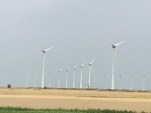 Windmühlen auf einem Feld in Ostfriesland