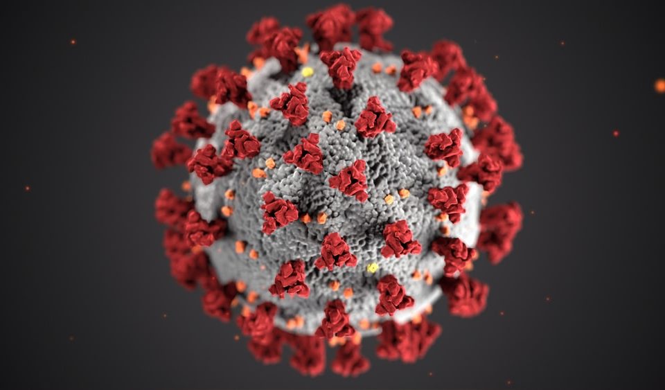 Abbildung Corona Virus